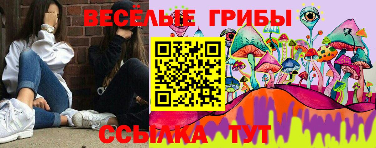Туймазы  Галлюциногенные грибы Psilocybe  Вход с VPN 
